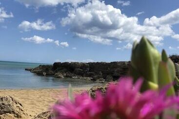 تختخواب و صبحانه Casapiuholidaysicilia   Adults Only