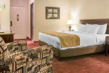 هتل Canberra Premiere Comfort