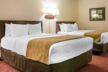 هتل Canberra Premiere Comfort