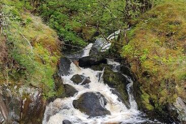 Loch Awe Luxury Eco Cabins