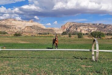 Canyons Of Escalante Rv Park