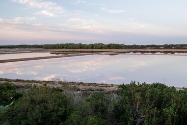 Cas Saliners   Ses Illetes - La Savina