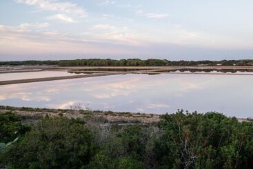 Cas Saliners   Ses Illetes