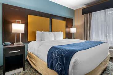 هتل Comfort Suites Fort Lauderdale Airport South & Cruise Port