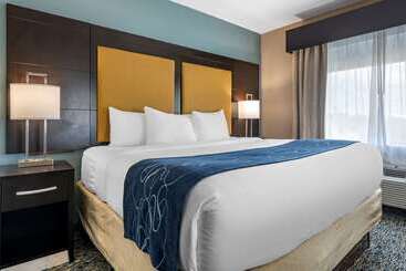 هتل Comfort Suites Fort Lauderdale Airport South & Cruise Port