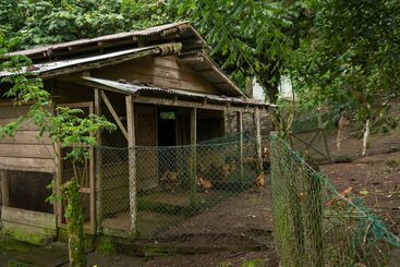 هتل Rancho Margot   All Meals Included