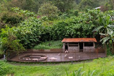هتل Rancho Margot   All Meals Included