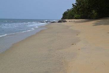 هتل Tara Plage