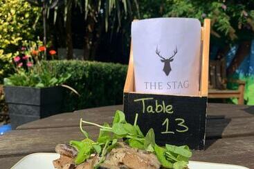 هتل The Stag