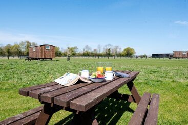 بيت ريفى Honeysuckle Farm Hut 7   Suffolk Farm Holidays
