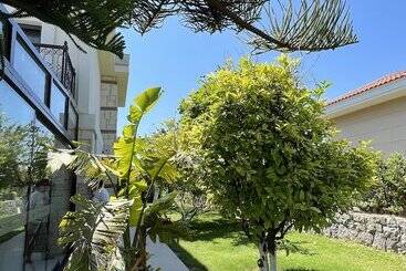 هتل Dalyan Risus Suite