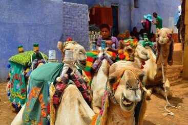 هتل Luxor Nile Cruises