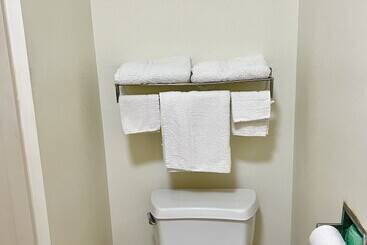 هتل Saffron Inn & Suites
