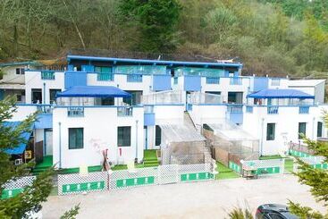 פנסיון Chuncheon Dogandstay