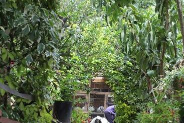هتل Tranquil Homestays