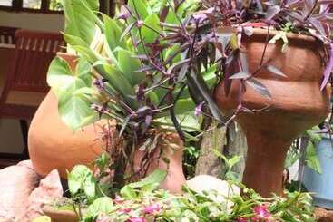 هتل Tranquil Homestays