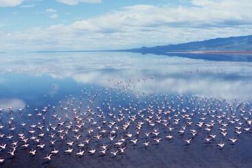 هتل Africa Safari Lake Natron Camping