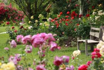 هتل Ayun Fort Inn