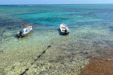 هتل Casa Cenote