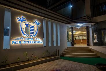 هتل Palm International