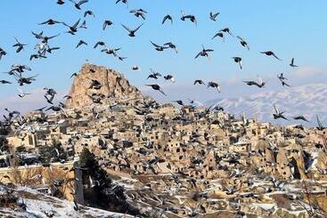 בית מלון כפרי Pome Granate Cave