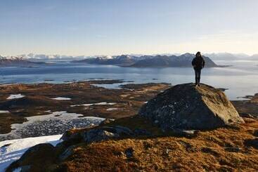 ホテル Ringstad Resort