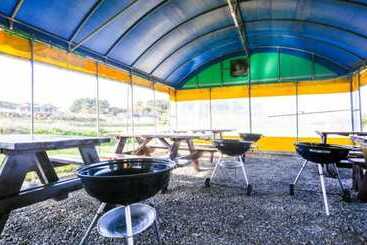 Taean Badaui Achim Pension