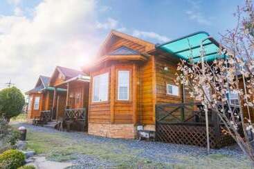Taean Badaui Achim Pension