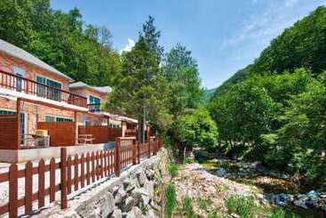 Pocheon Vincent House Pension
