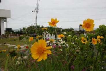 Pohang Hwajin Beach Pension