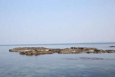 Pohang Secret Park Pension