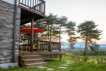 Yangyang Mono Tree Pension