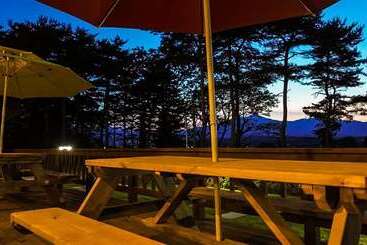Yangyang Mono Tree Pension