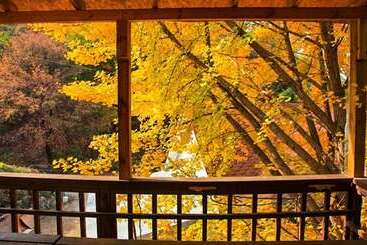 Yong Maple Pension