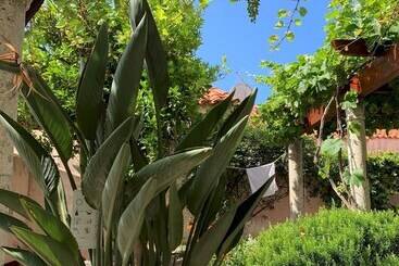 Hedera Estate, House Hedera Vi