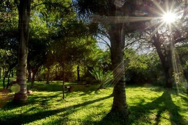 酒店 Doringpoort Safari Lodge