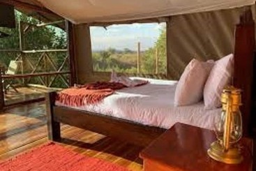پانسیون Havila Resort