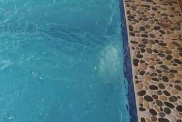 پانسیون Maison D Hôtes Le Diambar