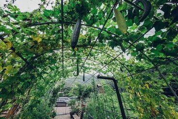 Pensão Asamo Poolvilla