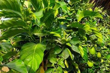 پانسیون Campement Baobab Chambres D Hotes 15mn De L Aeroport
