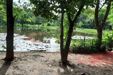 پانسیون Village Homestay