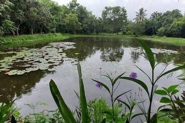 پانسیون Village Homestay