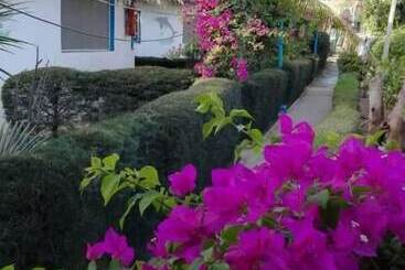 پانسیون Village Petit Eden