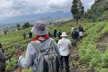 پانسیون Virunga Homestays