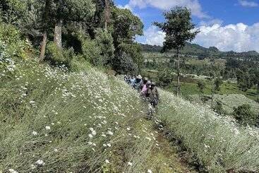 پانسیون Virunga Homestays