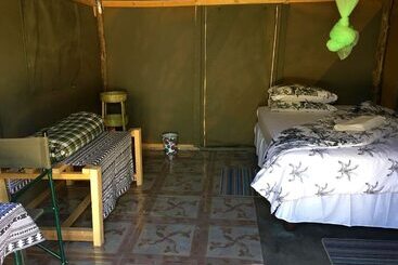هاستل Twyfelfontein Tented Camp