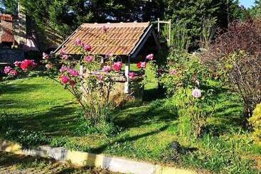تختخواب و صبحانه Haznedar Bungalow