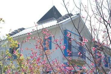 تختخواب و صبحانه Magnni Villa