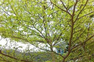 تختخواب و صبحانه Magnni Villa