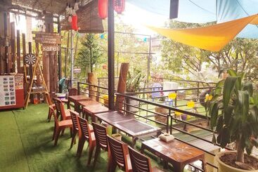 Codo Bee Capsule Garden   Hostel